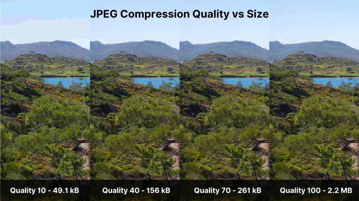 Progressive JPEG image showing successive passes each loading more detail.